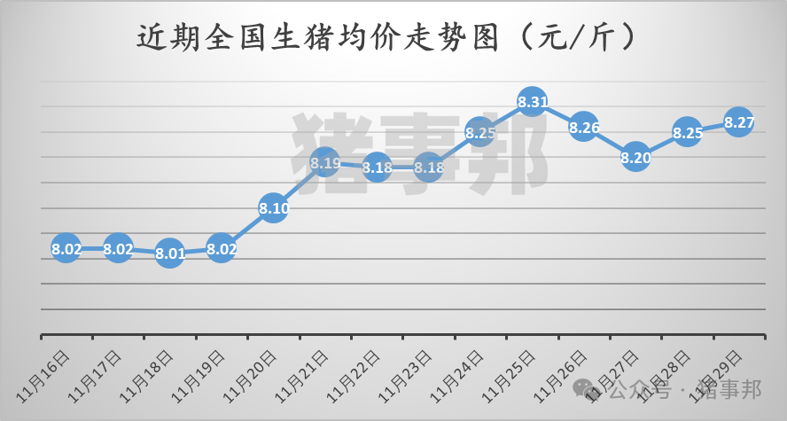 11月29日猪价汇总（市场心态不一，情绪转弱！）